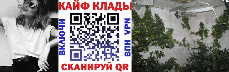 Купить закладку Галлюциногенные грибы Меф мяу мяу Кокаин Alpha PVP Дятьково