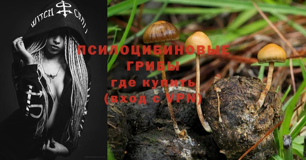 mdpv Арсеньев