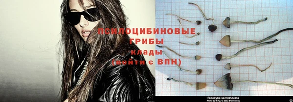 mdpv Арсеньев