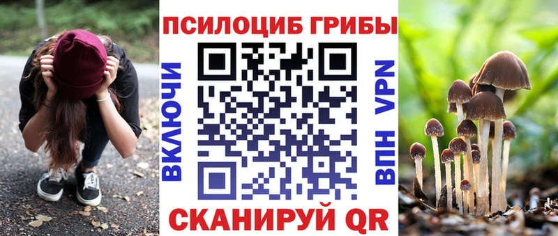 Псилоцибиновые грибы GOLDEN TEACHER Купить закладки Дятьково